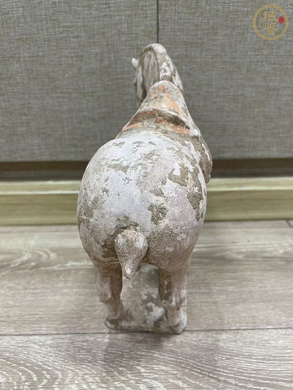 古玩陶瓷唐·駿馬真品鑒賞圖