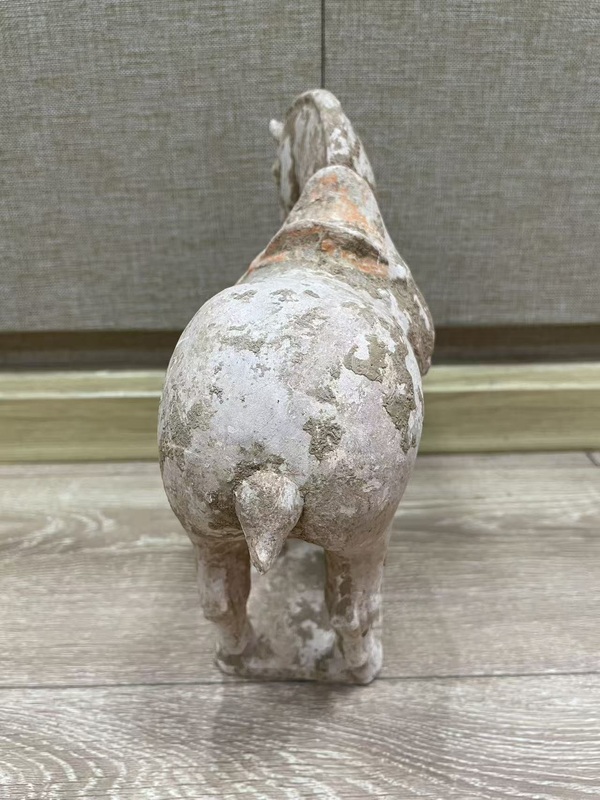 古玩陶瓷唐·駿馬拍賣，當(dāng)前價(jià)格500元