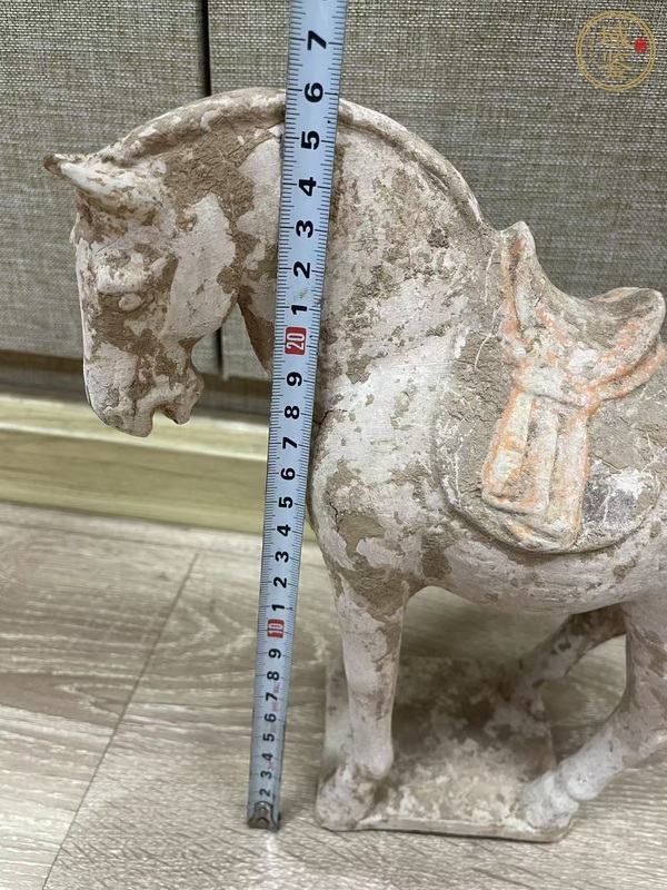 古玩陶瓷唐·駿馬真品鑒賞圖