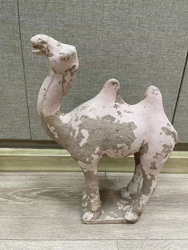 古玩轉賣唐·駱駝拍賣，當前價格99元