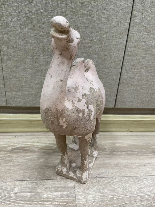 古玩陶瓷唐·駱駝拍賣,當前價格1500元
