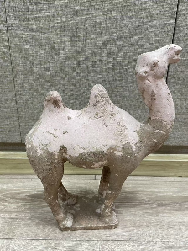 古玩陶瓷唐·駱駝拍賣(mài)，當(dāng)前價(jià)格328元