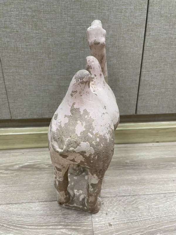 古玩陶瓷唐·駱駝拍賣(mài)，當(dāng)前價(jià)格328元