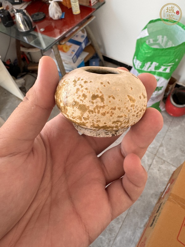 古玩唐代黃釉水盂真品鑒賞圖