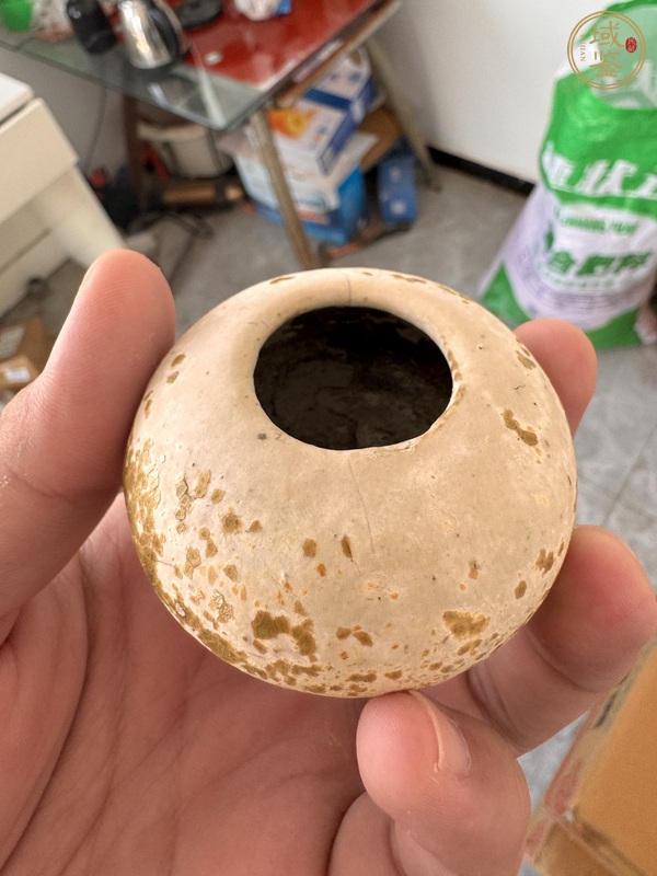 古玩陶瓷唐代黃釉水盂真品鑒賞圖