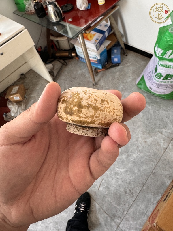 古玩陶瓷唐代黃釉水盂真品鑒賞圖
