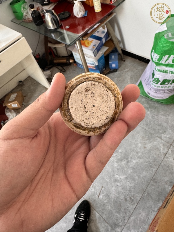 古玩陶瓷唐代黃釉水盂真品鑒賞圖