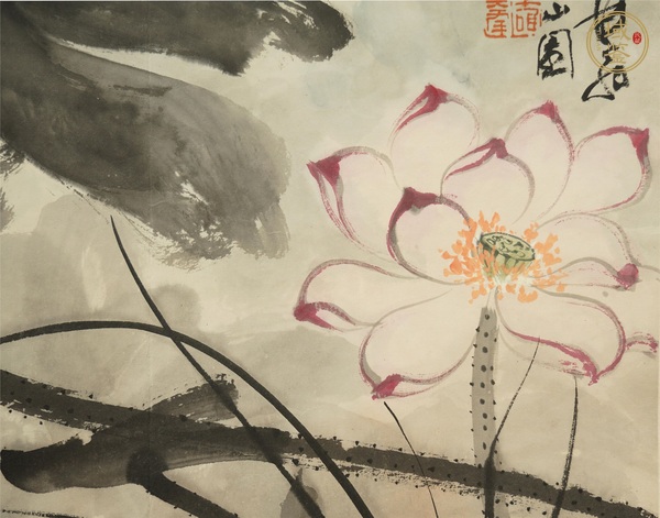 古玩字畫(huà)張大千款荷花真品鑒賞圖