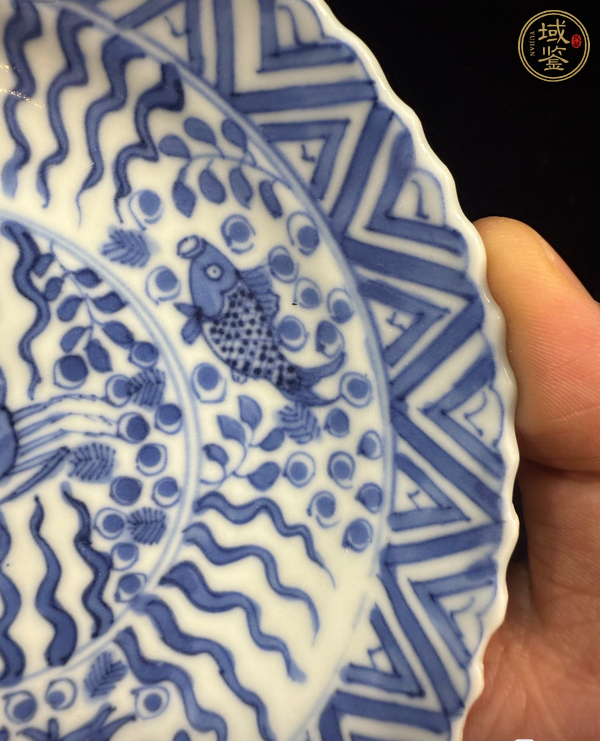 古玩陶瓷青花魚藻紋花口盤真品鑒賞圖
