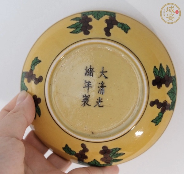 古玩陶瓷嬌黃綠紫素三彩龍紋盤真品鑒賞圖
