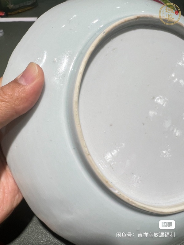 古玩陶瓷粉彩盤真品鑒賞圖