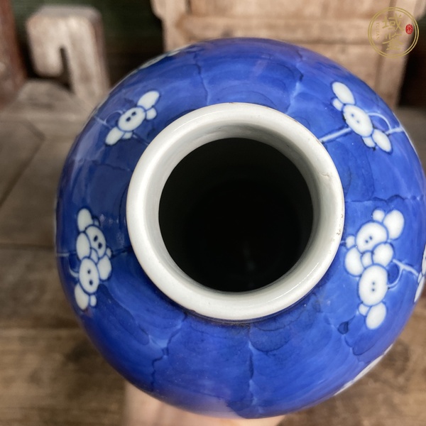 古玩光緒青花冰梅瓶真品鑒賞圖