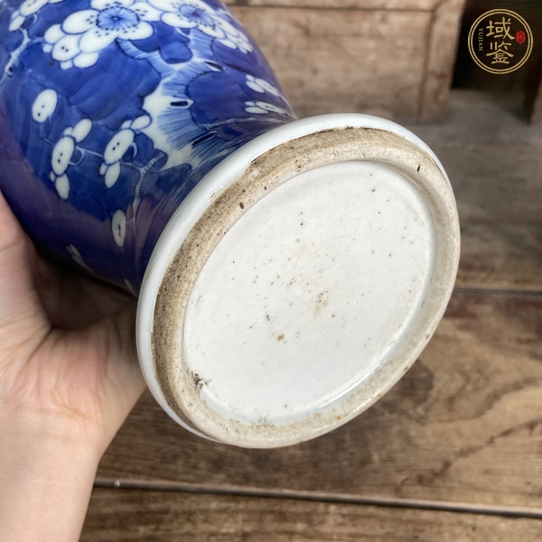 古玩陶瓷光緒青花冰梅瓶真品鑒賞圖