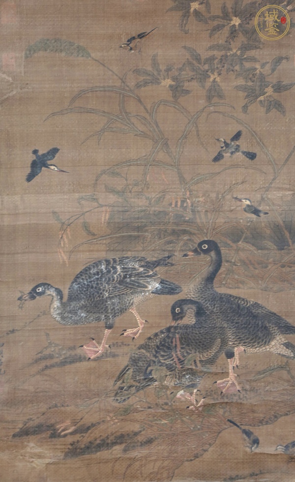 古玩呂紀款工筆花鳥立軸真品鑒賞圖