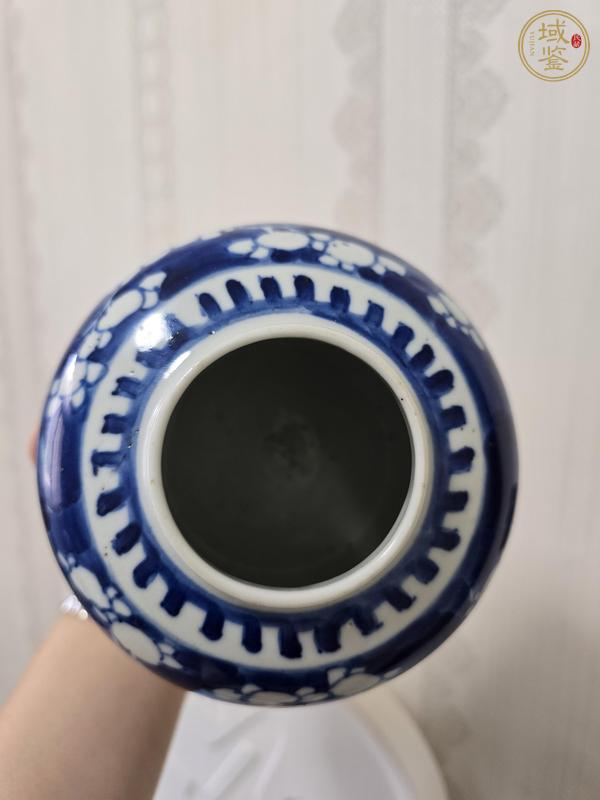 古玩陶瓷民國青花冰梅罐真品鑒賞圖