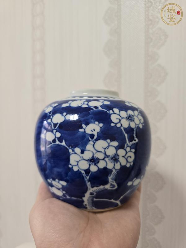 古玩陶瓷民國青花冰梅罐真品鑒賞圖