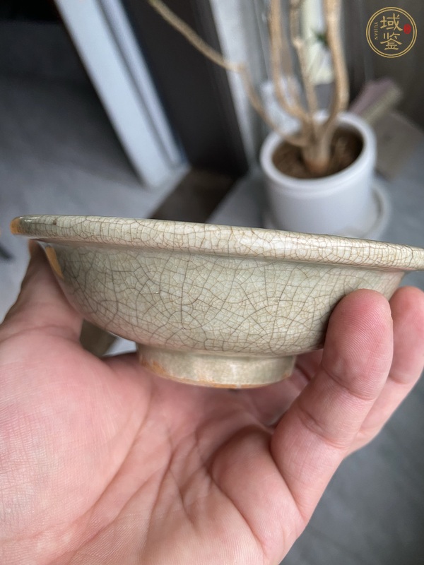 古玩陶瓷哥釉洗真品鑒賞圖