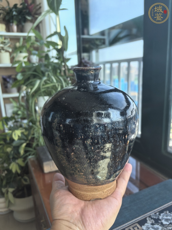 古玩陶瓷黑釉梅瓶真品鑒賞圖