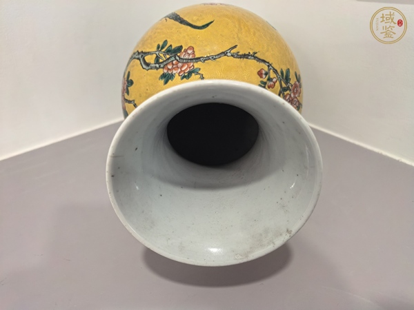 古玩陶瓷黃地五彩雉雞牡丹觀音瓶真品鑒賞圖