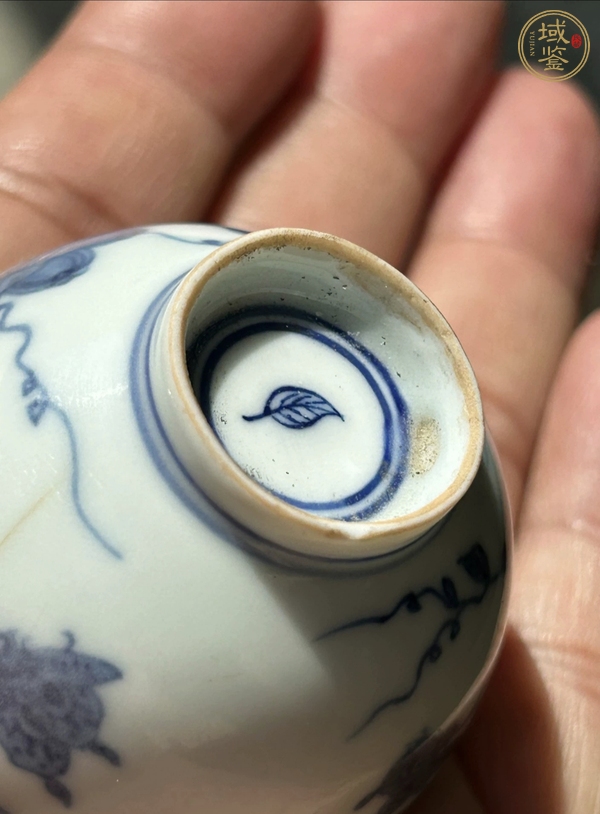 古玩陶瓷青花蝴蝶紋杯真品鑒賞圖