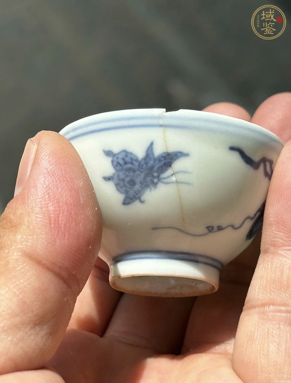 古玩陶瓷青花蝴蝶紋杯真品鑒賞圖