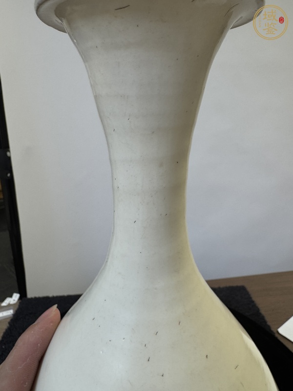 古玩雜項瓶真品鑒賞圖