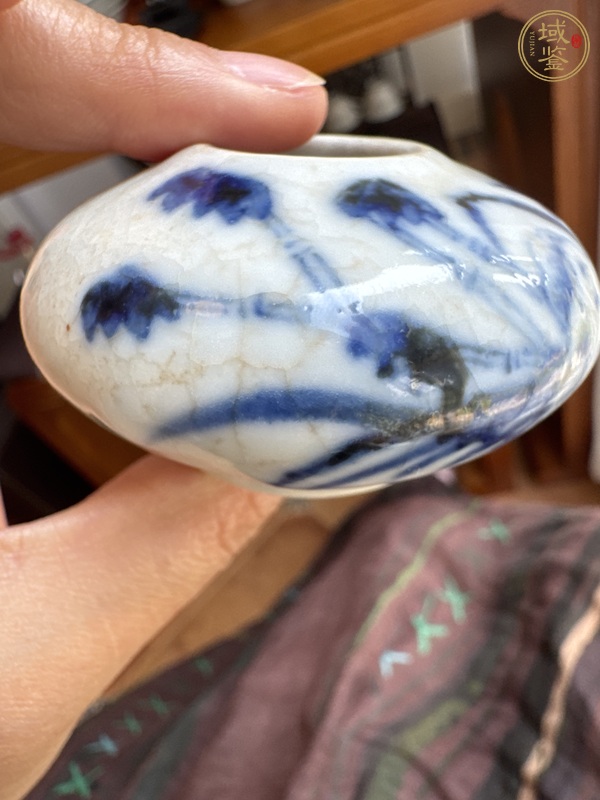 古玩陶瓷哥釉青花蘭草紋水盂真品鑒賞圖