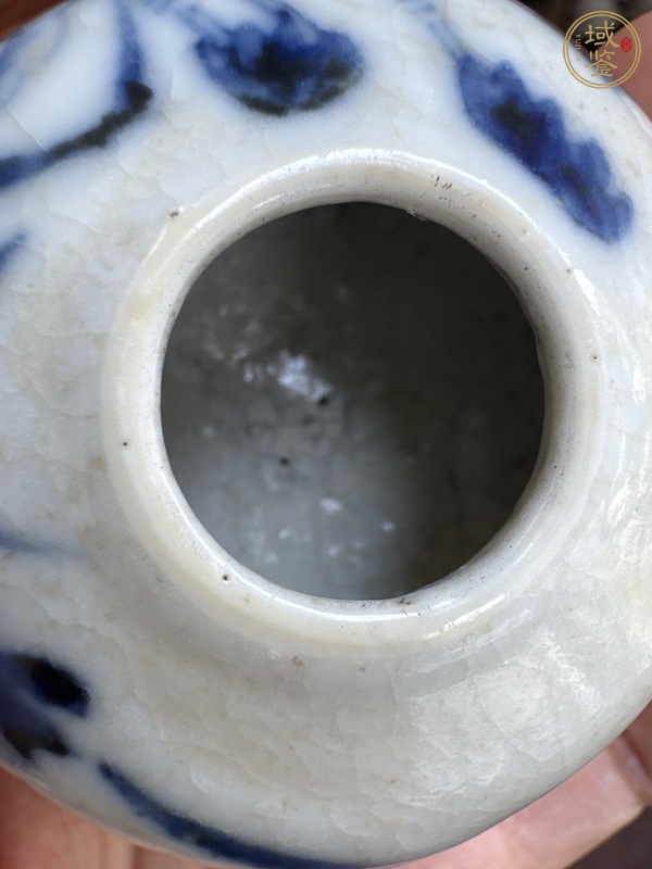 古玩陶瓷哥釉青花蘭草紋水盂真品鑒賞圖