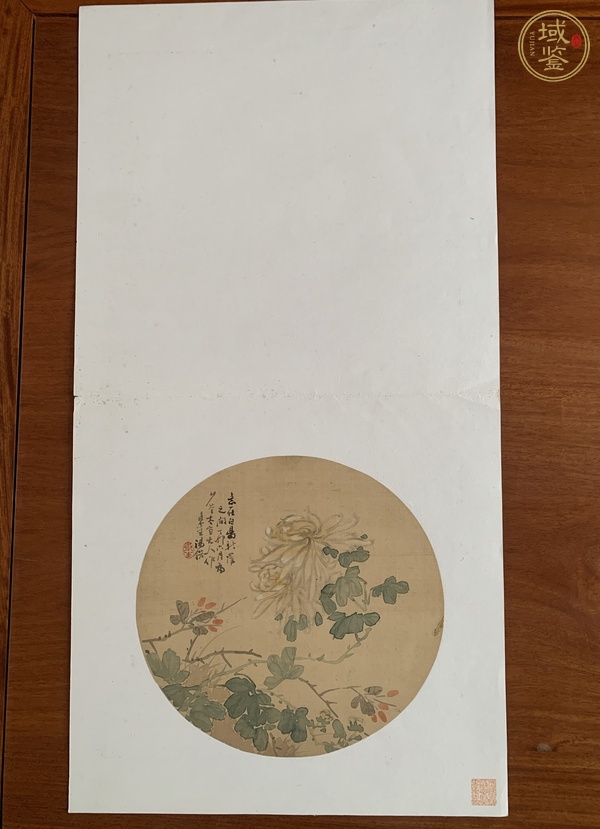 古玩菊真品鑒賞圖