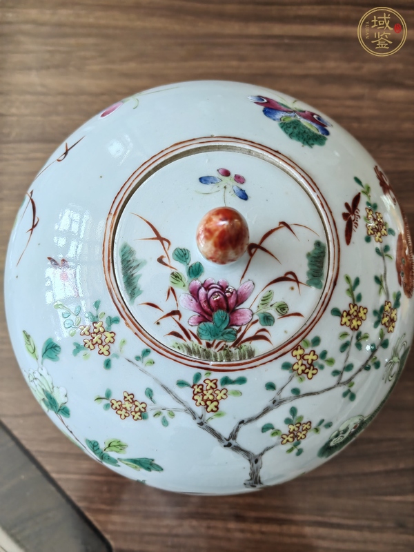 古玩陶瓷粉彩罐真品鑒賞圖