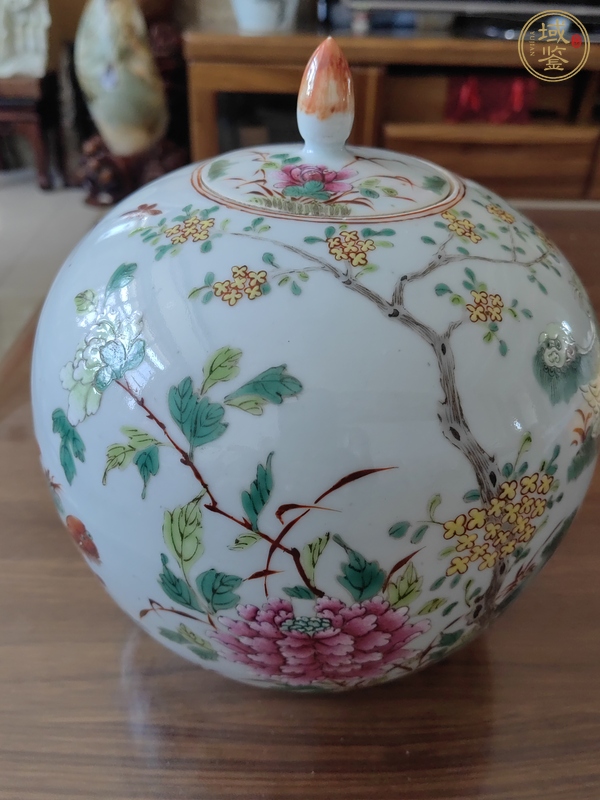 古玩陶瓷粉彩罐真品鑒賞圖