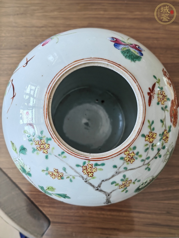 古玩粉彩罐真品鑒賞圖