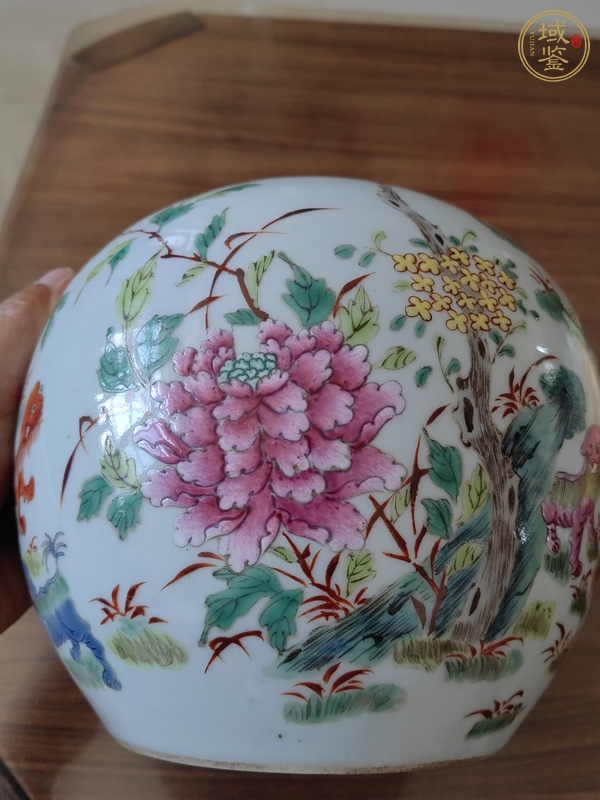 古玩陶瓷粉彩罐真品鑒賞圖