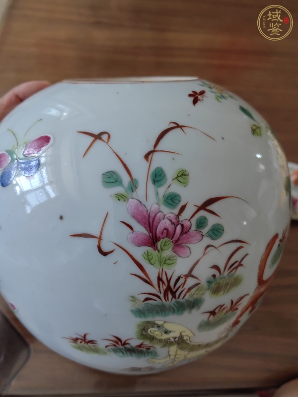 古玩陶瓷粉彩罐真品鑒賞圖