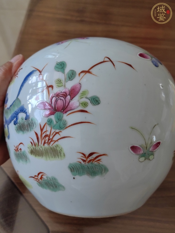 古玩陶瓷粉彩罐真品鑒賞圖