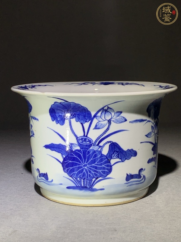 古玩蓮池游禽滿池嬌青花花盆真品鑒賞圖