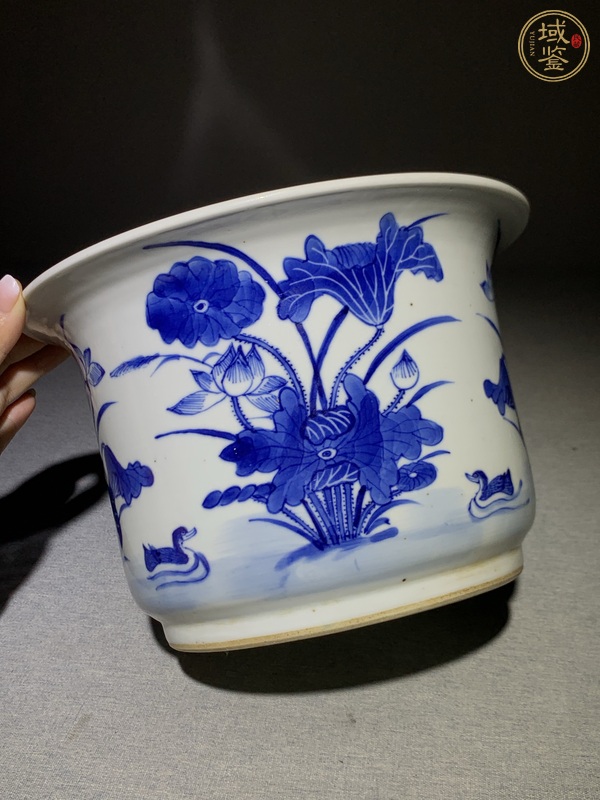 古玩陶瓷蓮池游禽滿池嬌青花花盆真品鑒賞圖