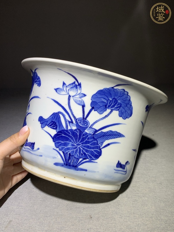 古玩陶瓷蓮池游禽滿池嬌青花花盆真品鑒賞圖
