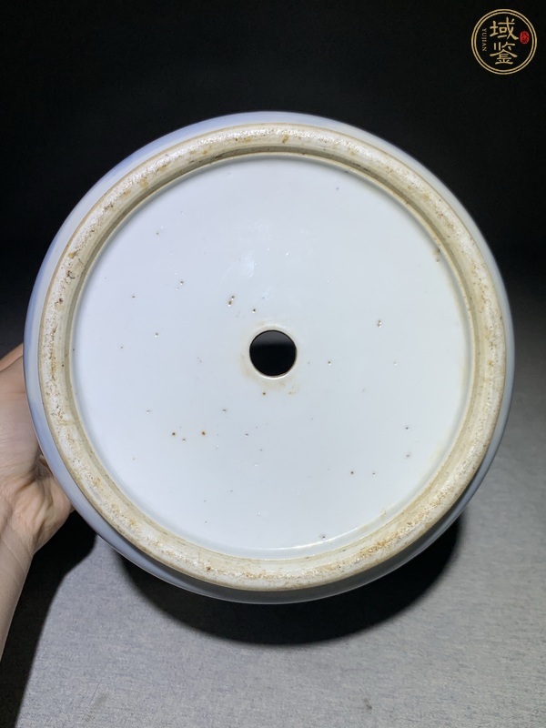 古玩陶瓷蓮池游禽滿池嬌青花花盆真品鑒賞圖