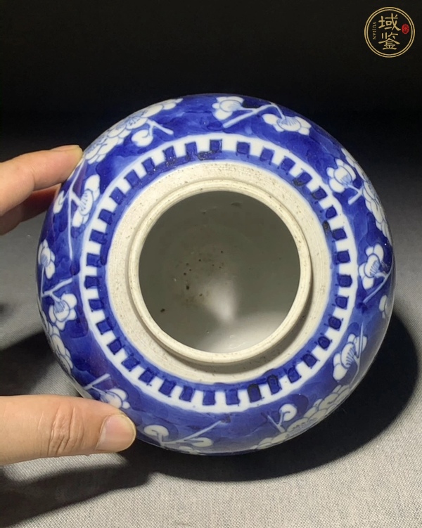 古玩陶瓷青花冰梅圖蓋罐真品鑒賞圖