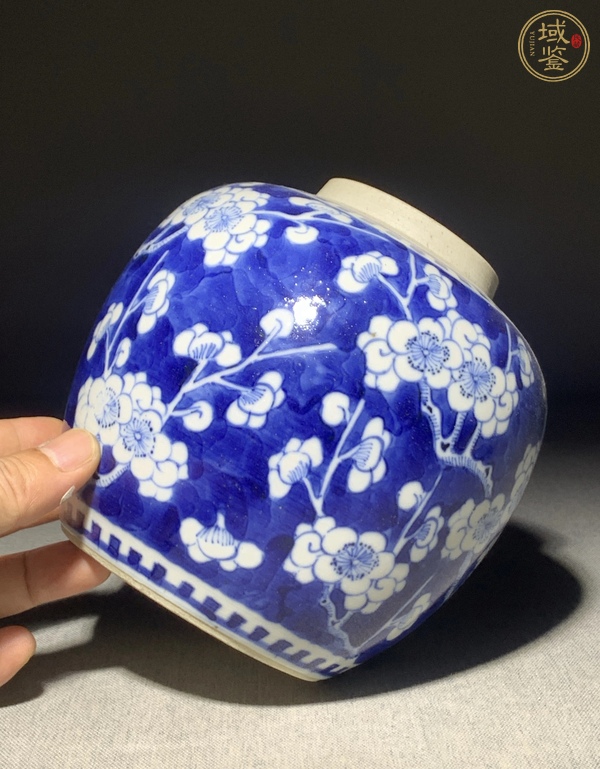 古玩陶瓷青花冰梅圖蓋罐真品鑒賞圖