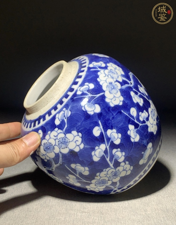 古玩陶瓷青花冰梅圖蓋罐真品鑒賞圖