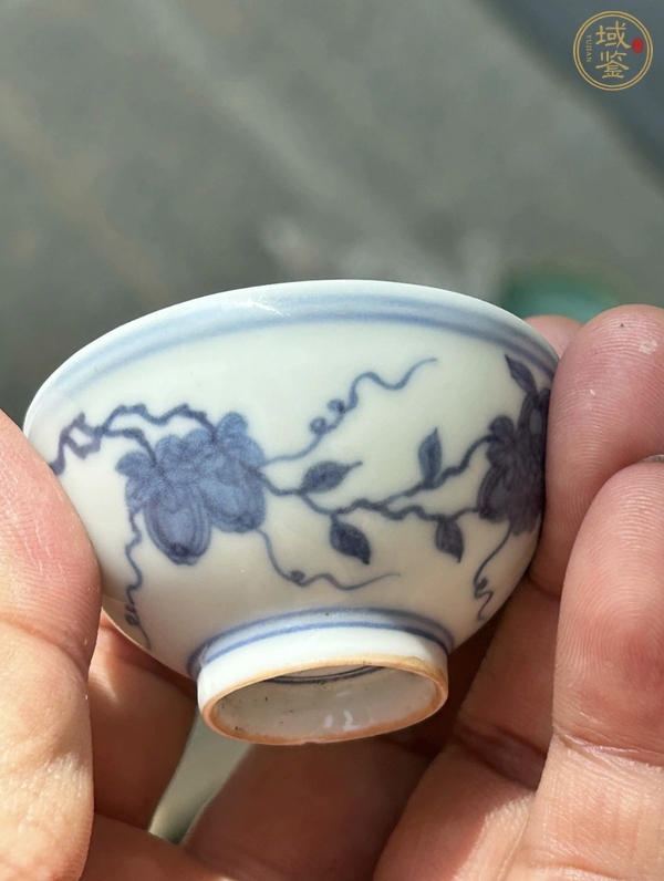古玩陶瓷青花蝴蝶紋杯真品鑒賞圖