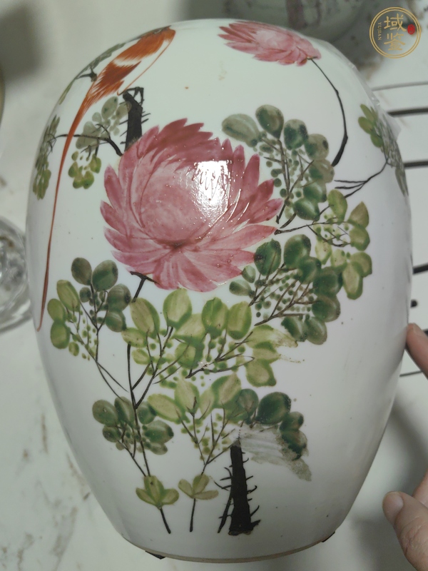 古玩陶瓷粉彩花鳥紋蓋罐真品鑒賞圖