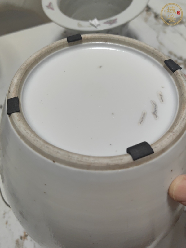 古玩陶瓷粉彩花鳥紋蓋罐真品鑒賞圖