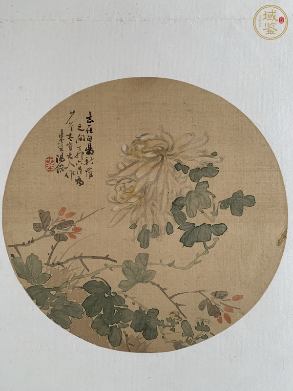 古玩字畫圓光花卉真品鑒賞圖