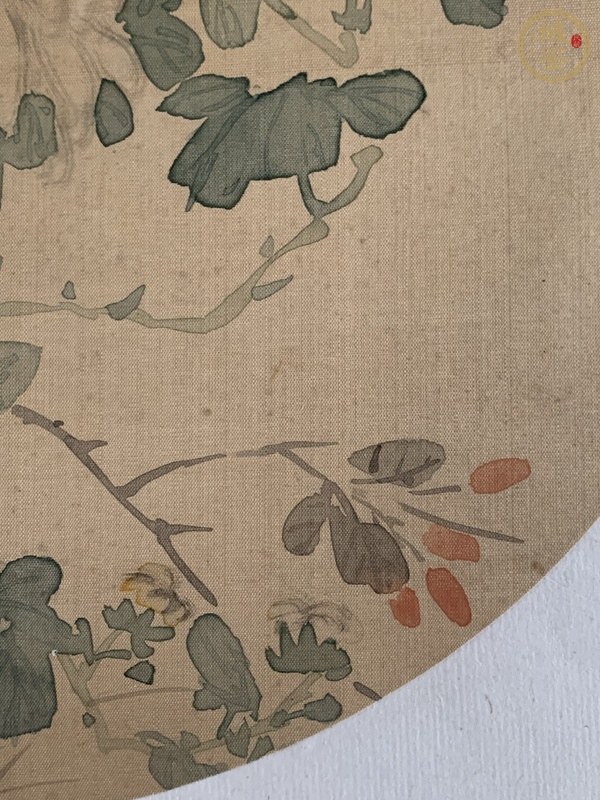 古玩字畫圓光花卉真品鑒賞圖