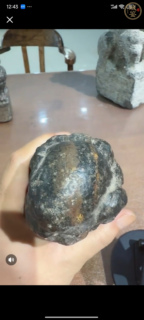古玩案頭獅真品鑒賞圖