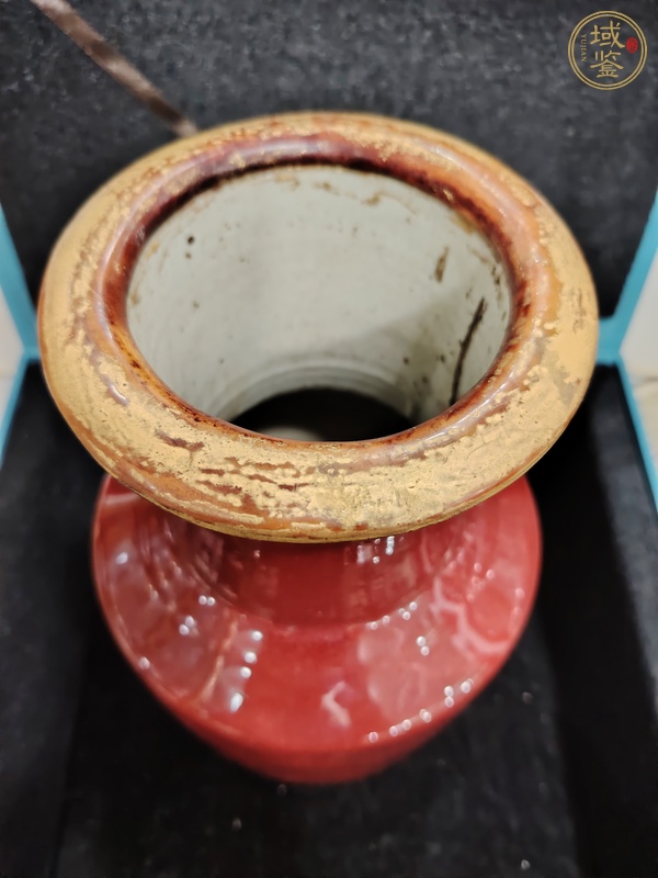 古玩陶瓷郎紅釉棒槌瓶真品鑒賞圖