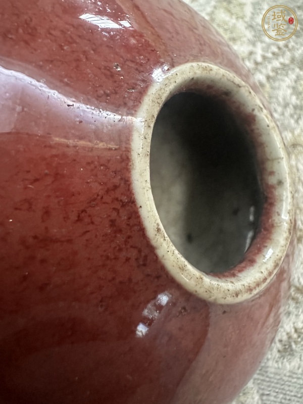 古玩陶瓷紅釉水盂真品鑒賞圖